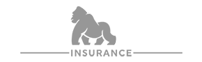 BOZ Insurance